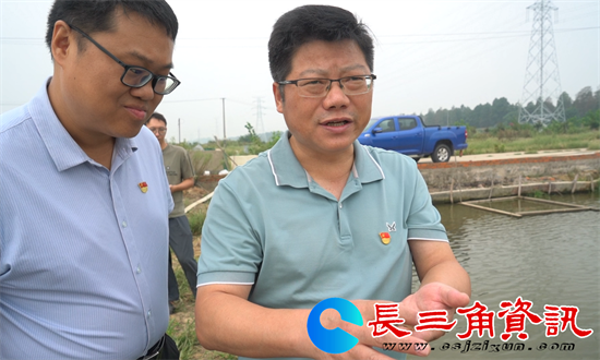 巫爱军一行检查青虾养殖情况.png